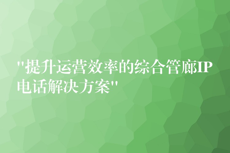  “提升運營效率的綜合管廊IP電話解決方案”