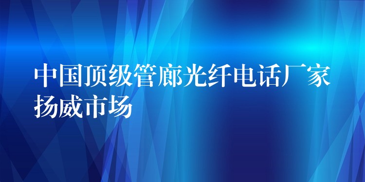  中國頂級管廊光纖電話廠家揚威市場
