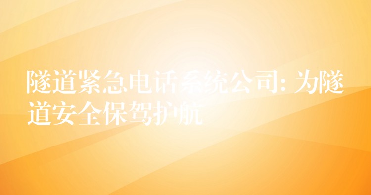  隧道緊急電話系統(tǒng)公司: 為隧道安全保駕護航