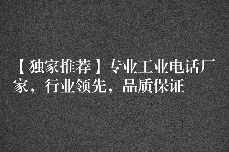  【獨(dú)家推薦】專業(yè)工業(yè)電話廠家，行業(yè)領(lǐng)先，品質(zhì)保證