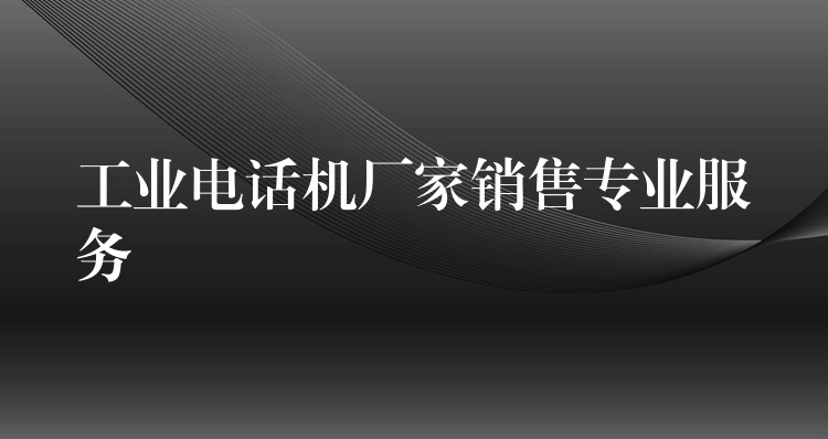  工業(yè)電話機廠家銷售專業(yè)服務