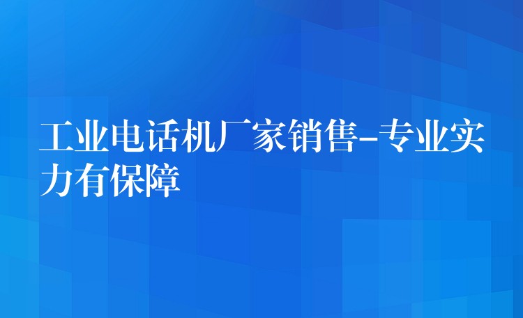 工業(yè)電話機(jī)廠家銷售-專業(yè)實(shí)力有保障