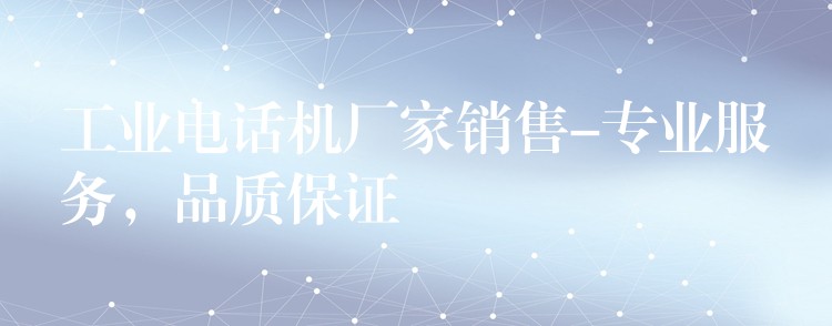 工業(yè)電話機廠家銷售-專業(yè)服務(wù)，品質(zhì)保證