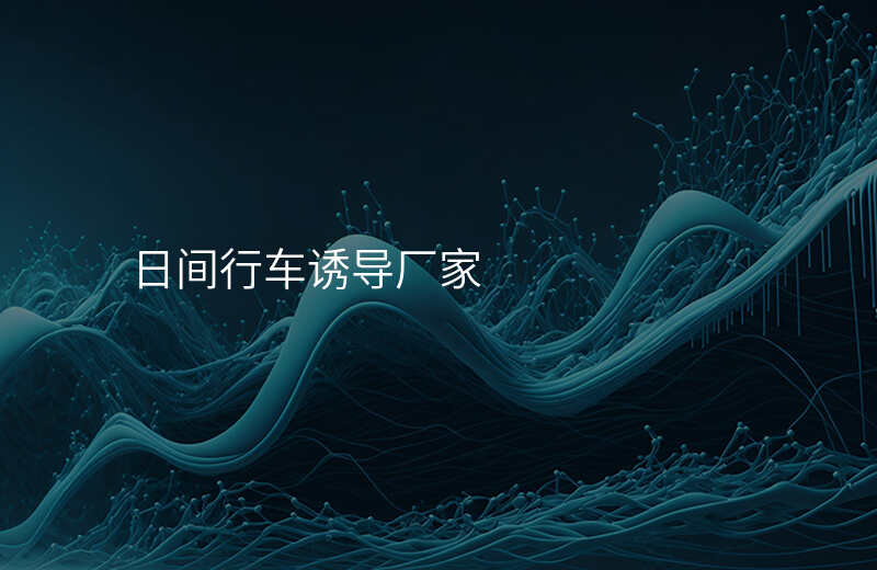  日間行車誘導(dǎo)廠家