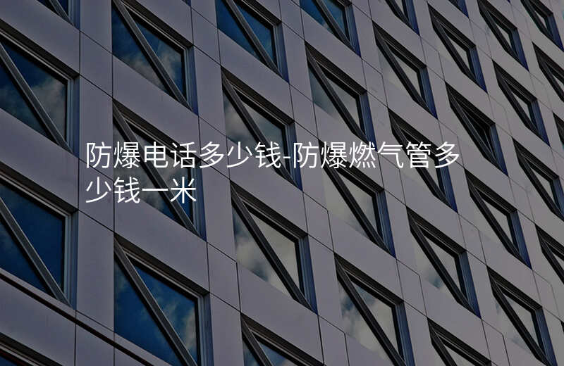  防爆電話多少錢-防爆燃?xì)夤芏嗌馘X一米